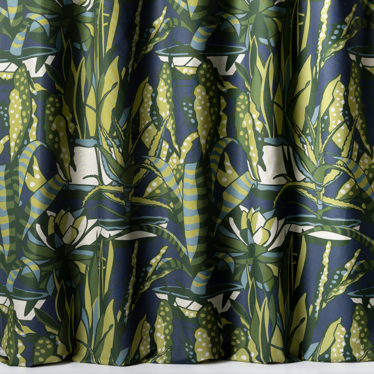 Agaves 10859-75