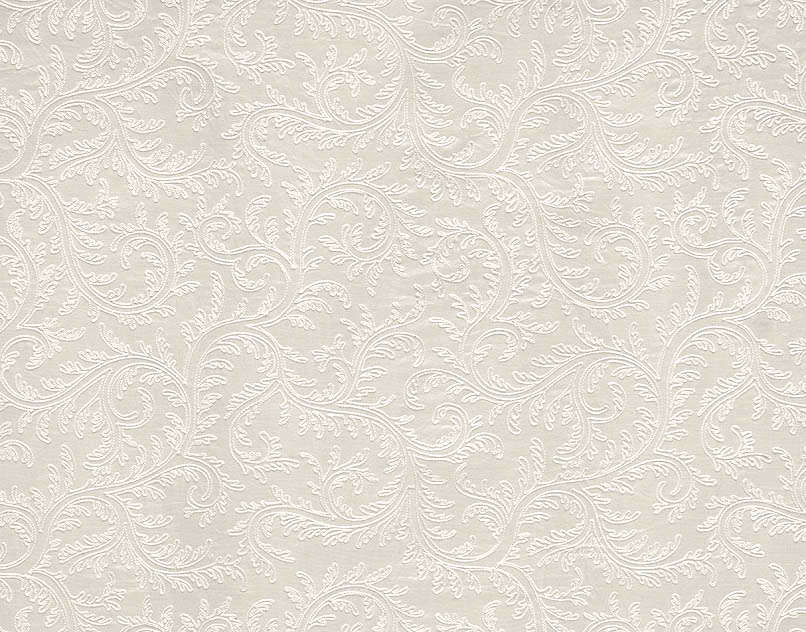 Agrippine B7588001