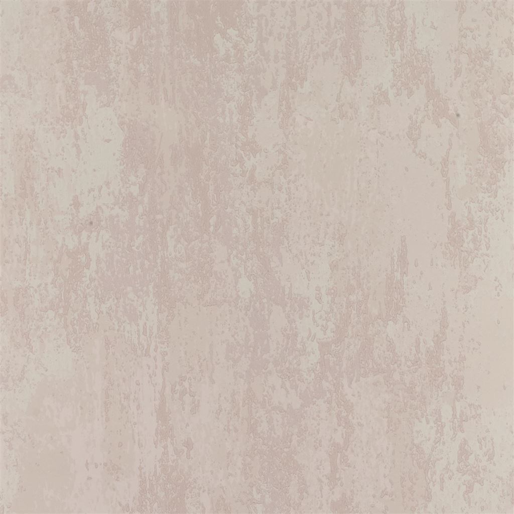 Ajanta P555-20