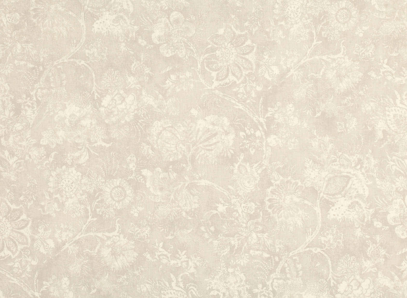 Ajanta Silverbirch M458-01
