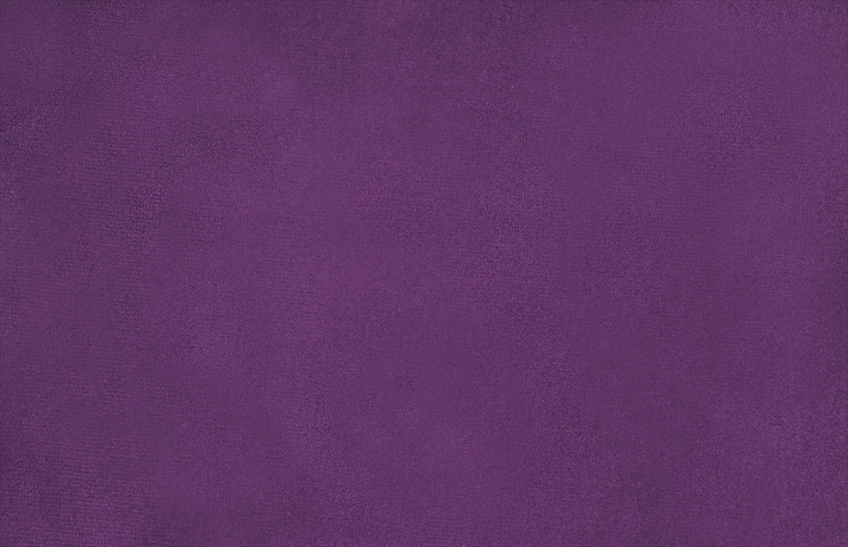 Alaska Aubergine