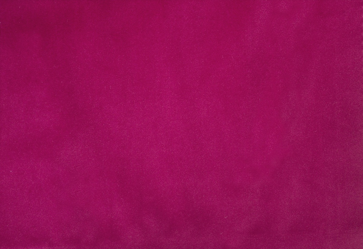 Alaska Fuchsia