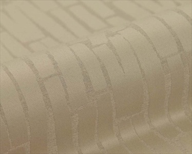 Alinea FR 110580-1