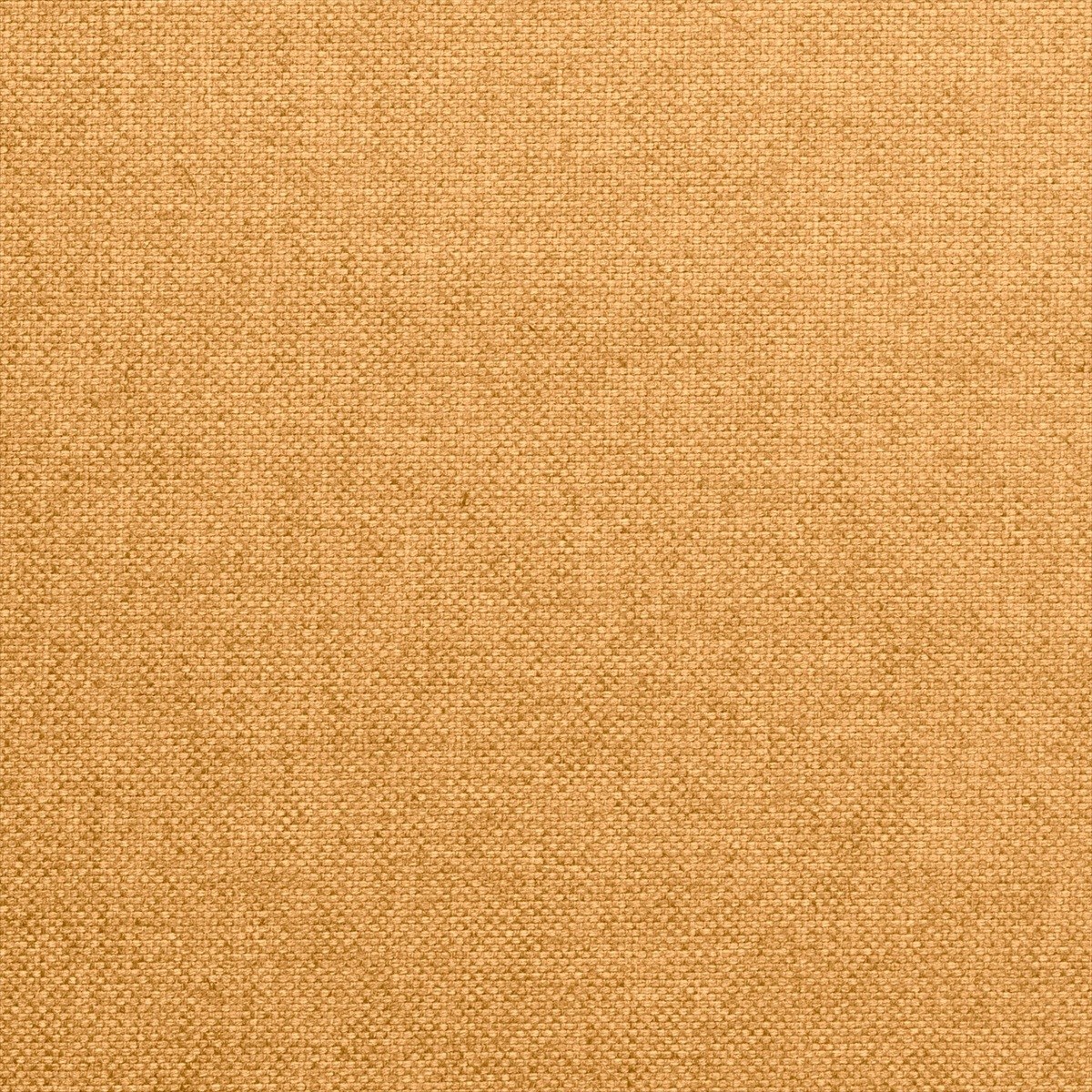 Alium 72853-9100