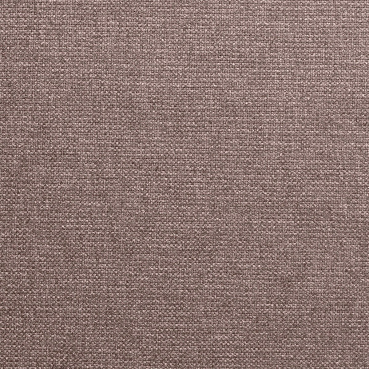 Alium 72853-9420
