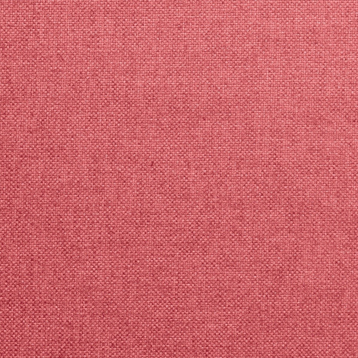 Alium 72853-9500