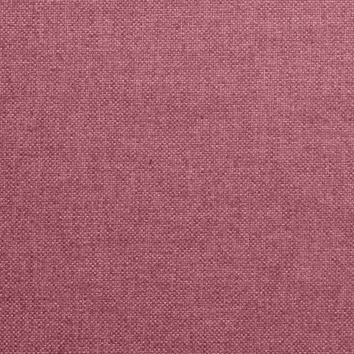 Alium 72853-9530