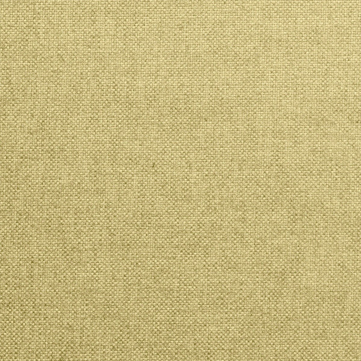 Alium 72853-9700