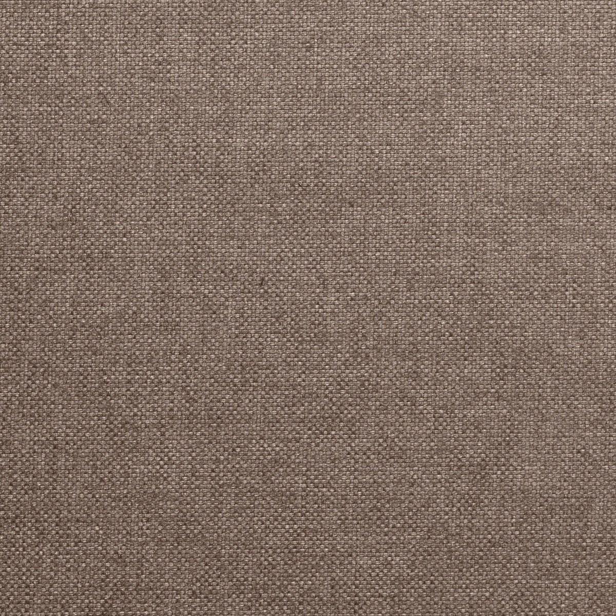 Alium 72853-9880