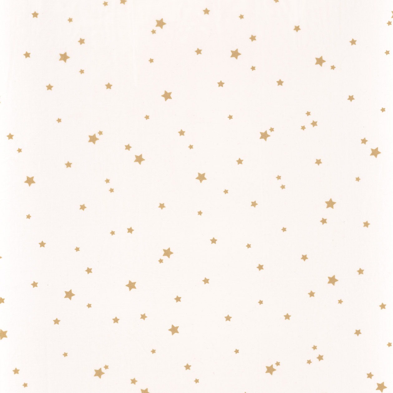 All Stars 10095 21 21