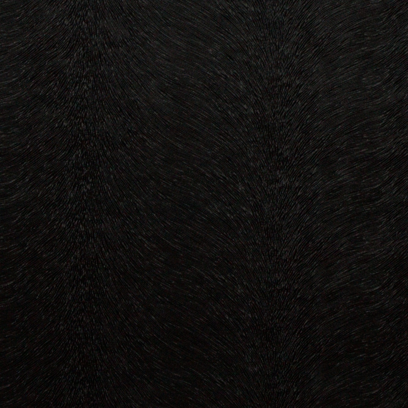 Allegra Coal
