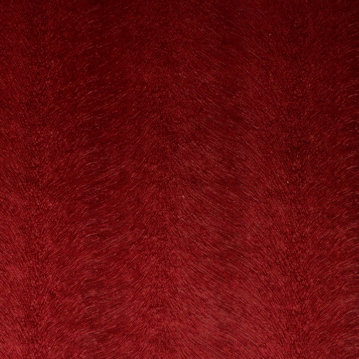 Allegra Cranberry