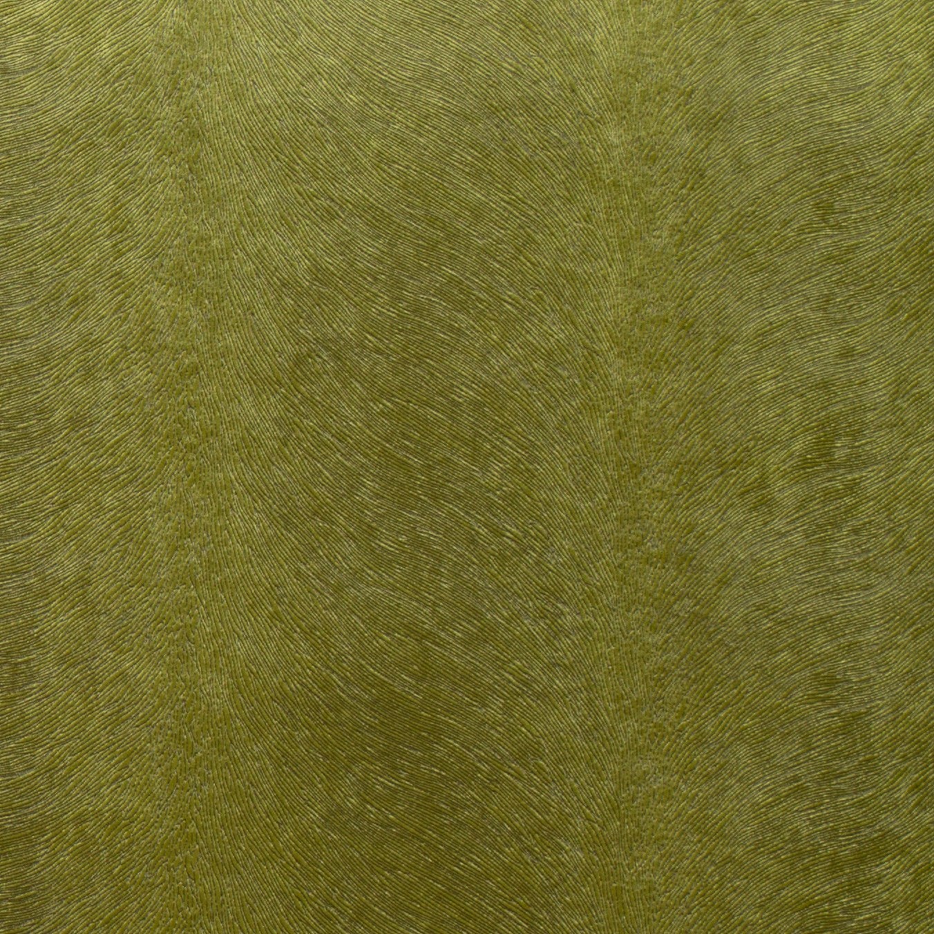 Allegra Kiwi