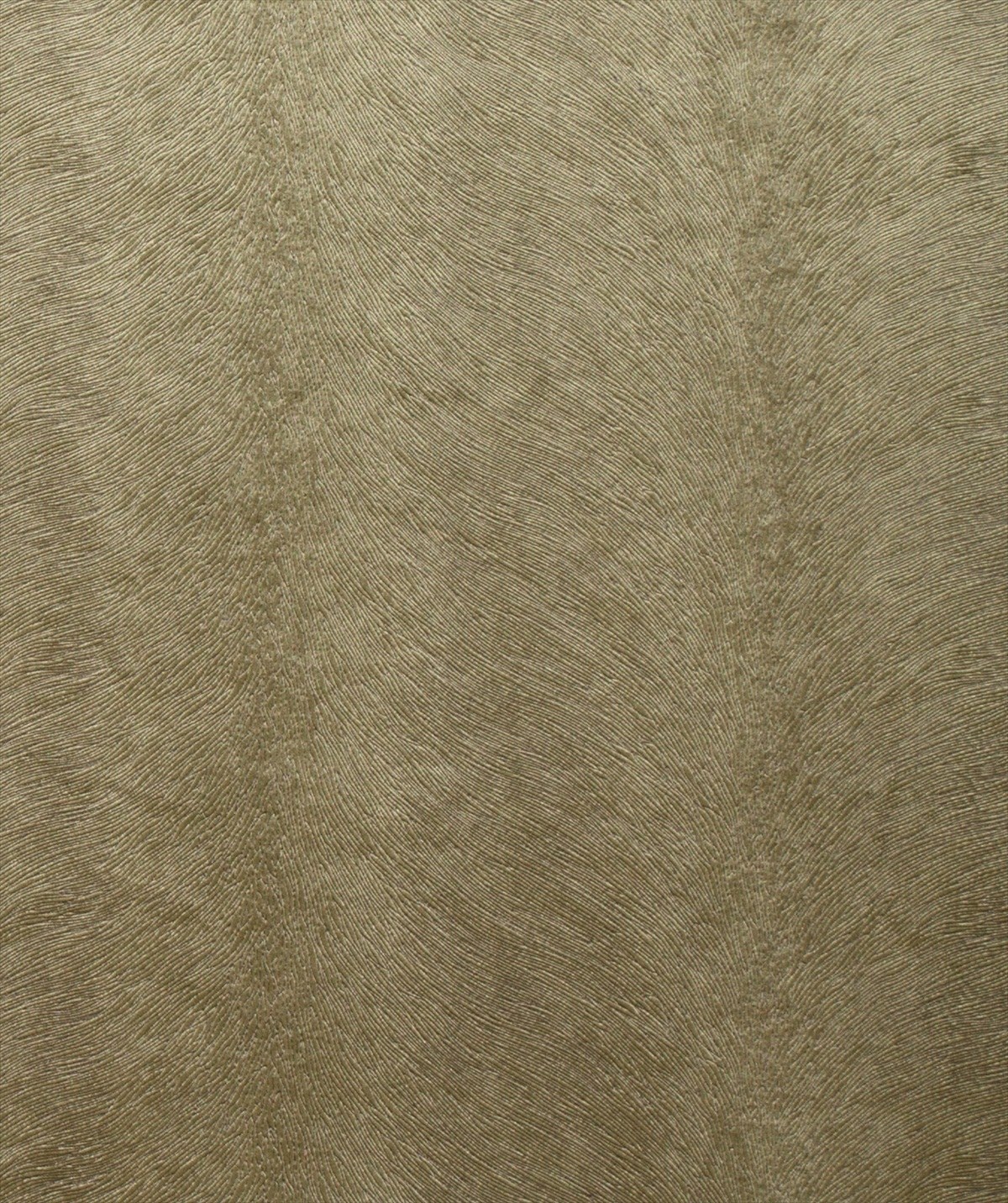Allegra Mouse