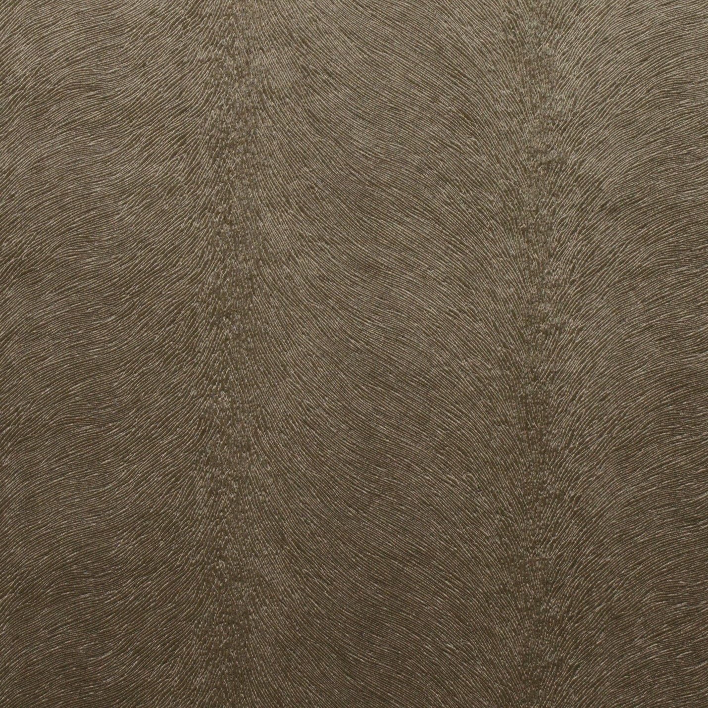 Allegra Otter