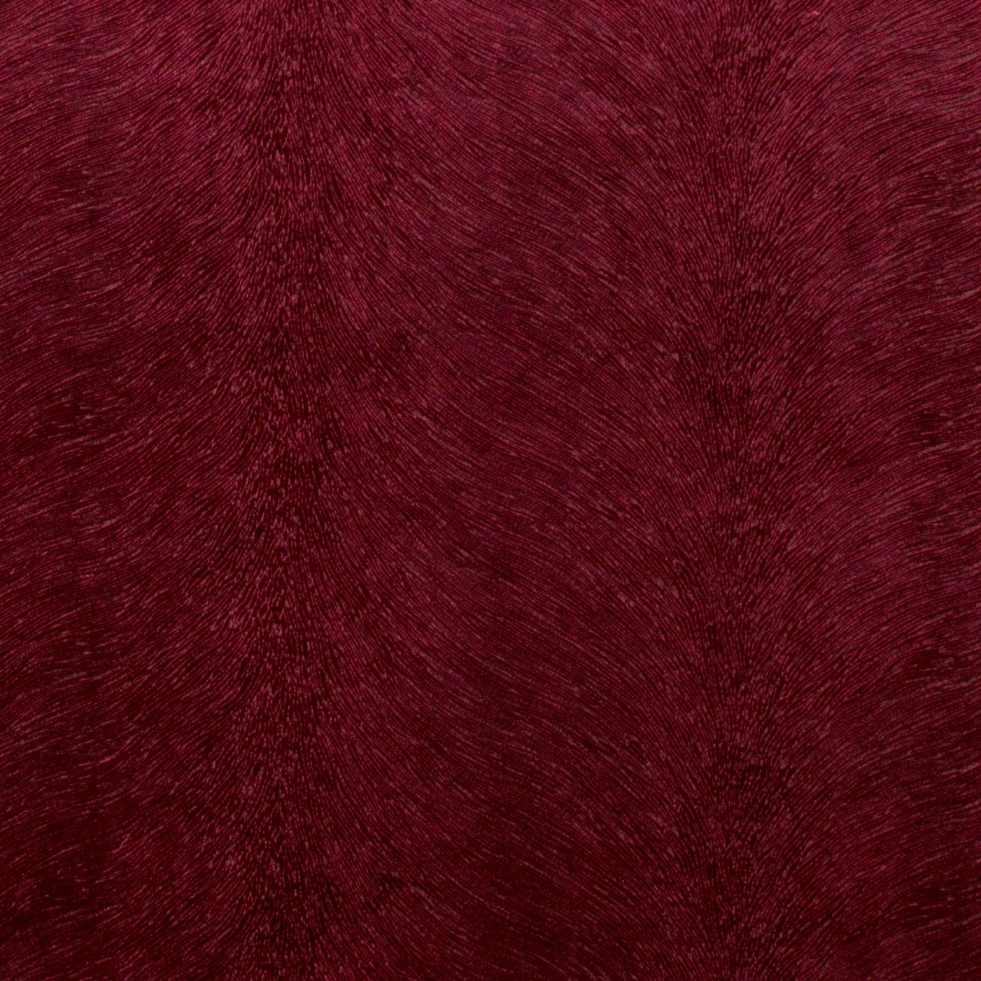 Allegra Wine