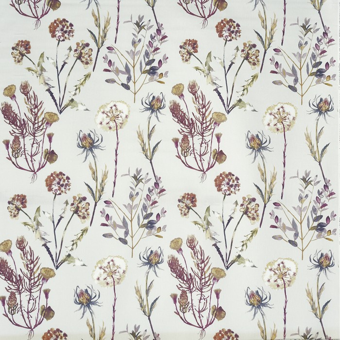 Allium 5049-211