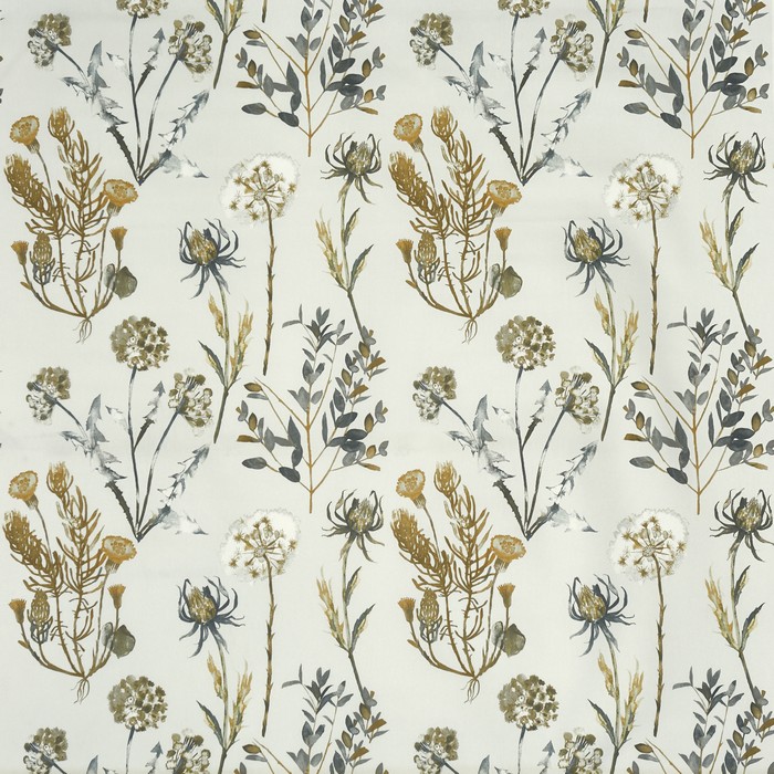 Allium 5049-350