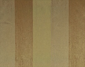 Allium 3989-2