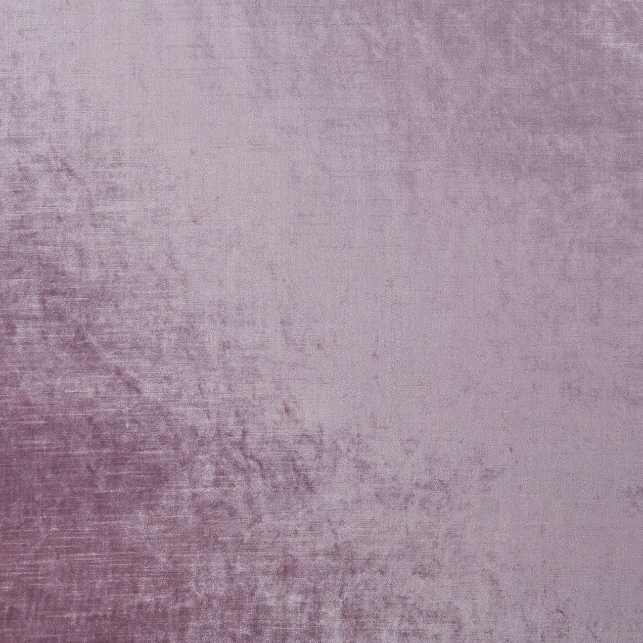 Allure F1069-19