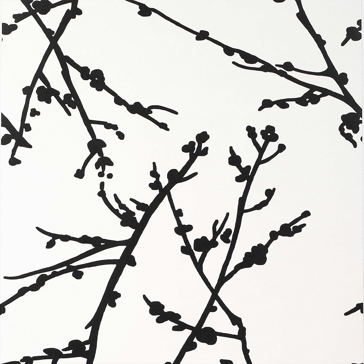 Almendros GDW-4849 003
