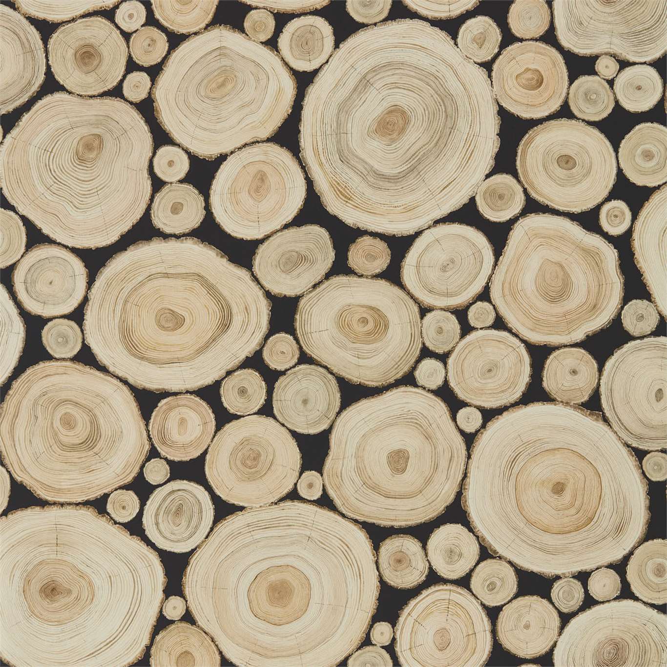 Alnwick Logs 216510