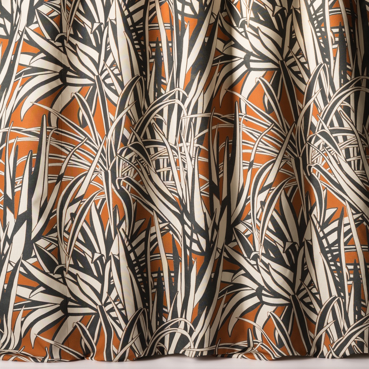 Aloe 10860-34