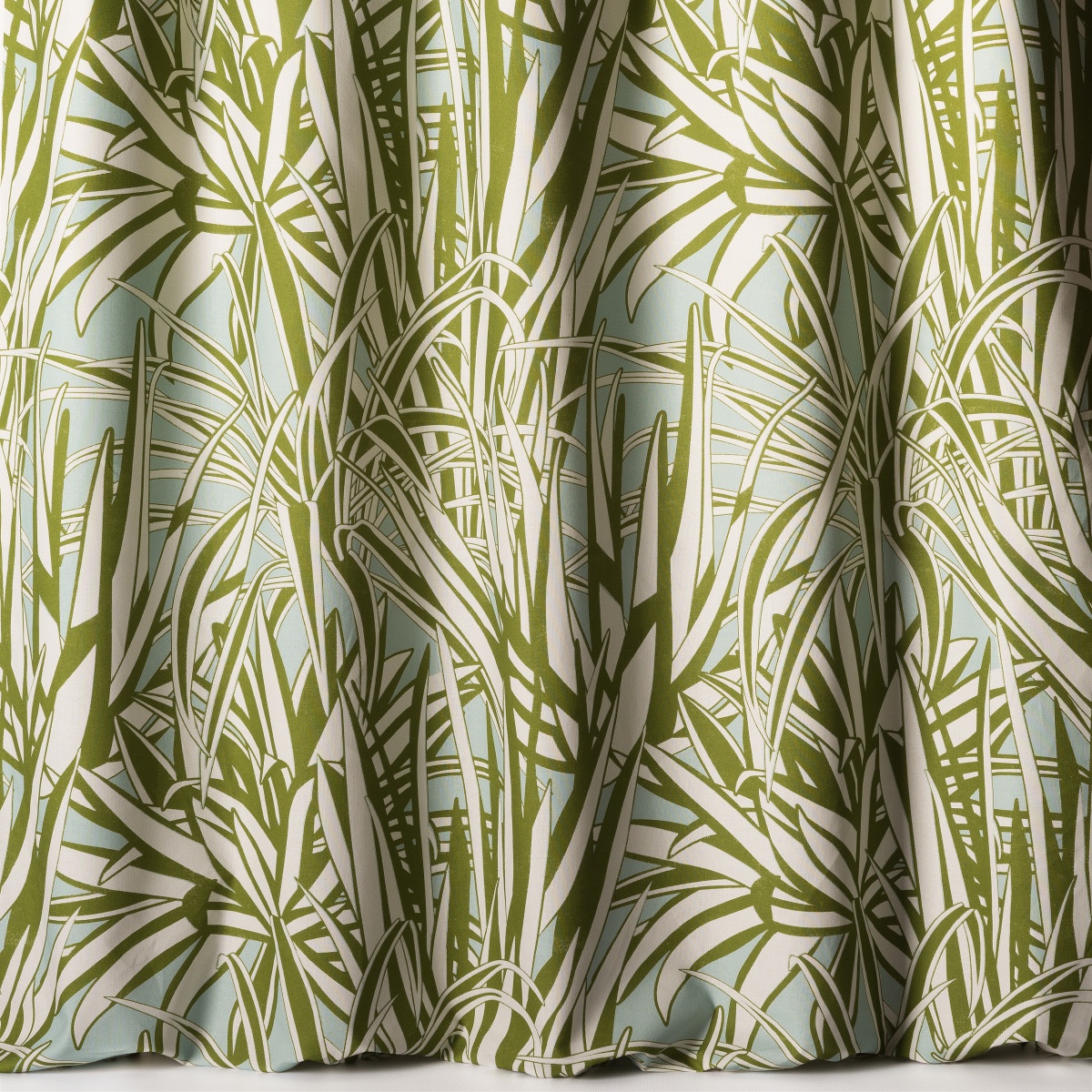 Aloe 10860-61