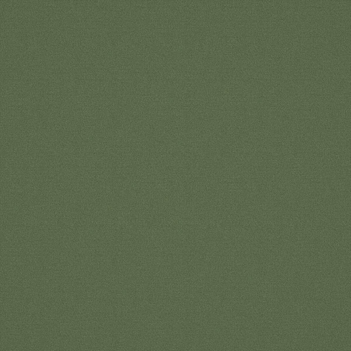 Alpaka Shamrock