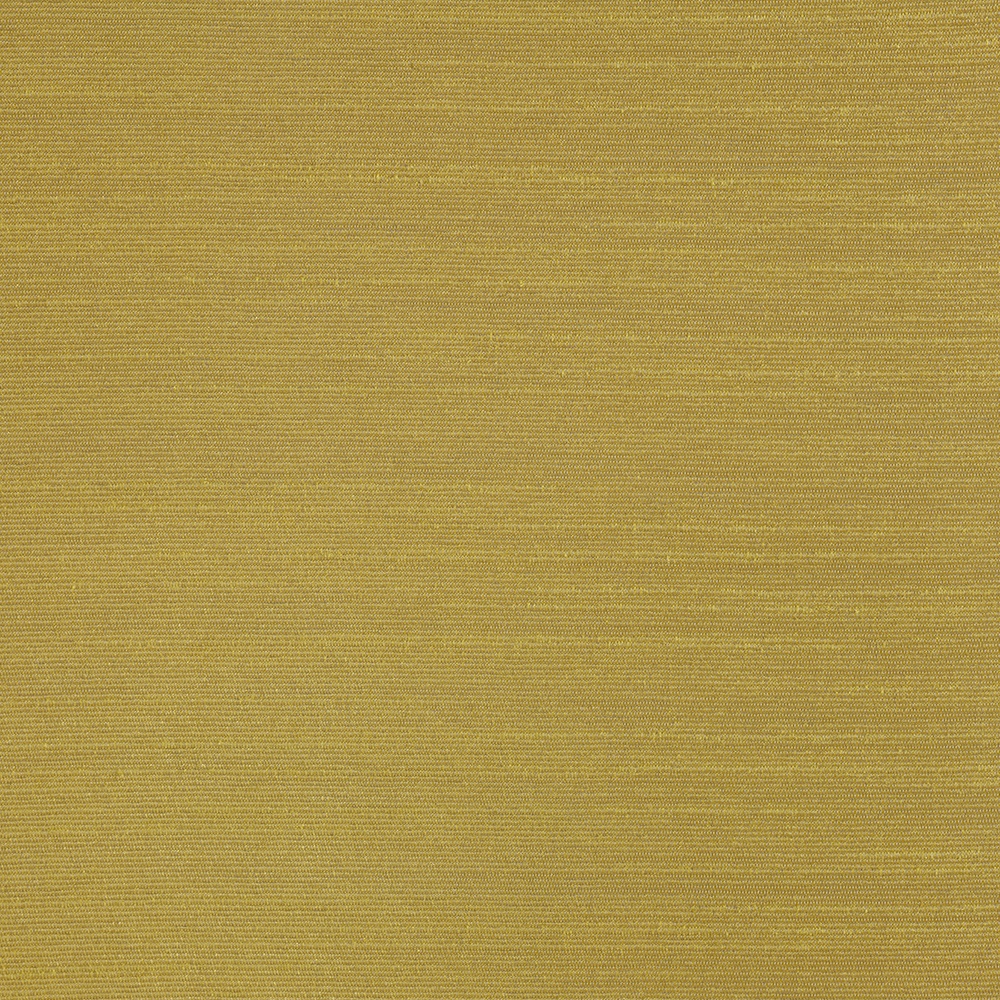 Alter Ego D19100-024
