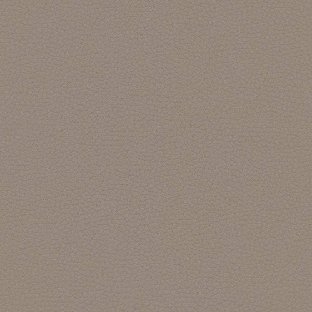 Bryce Taupe
