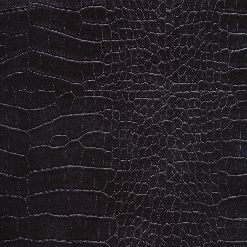 Crocodile Midnight