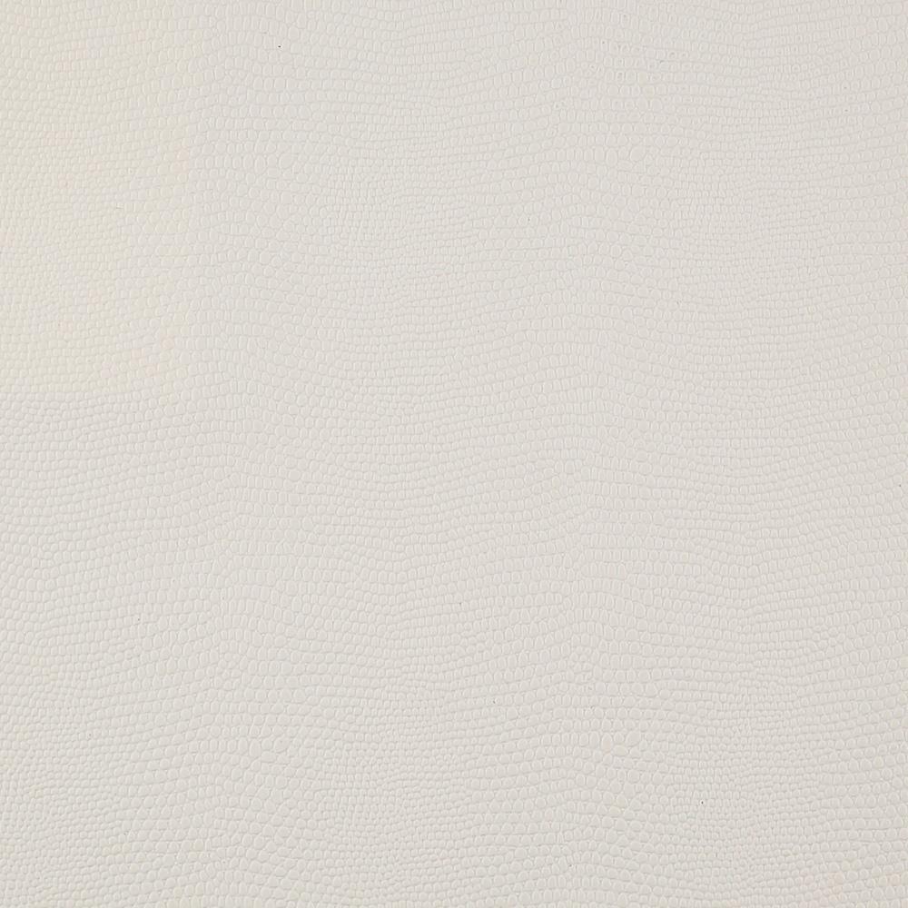 Gecko White