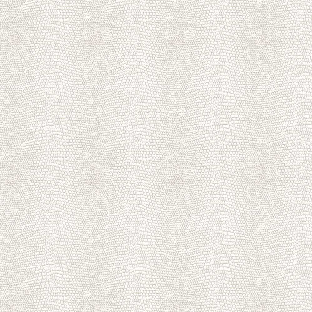 Iguana Ivory