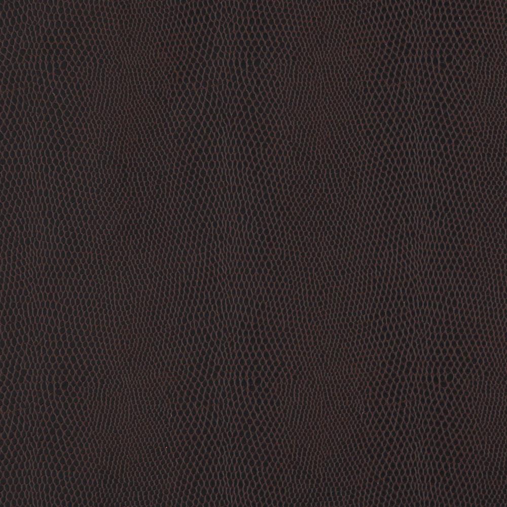 Lizard Teakwood