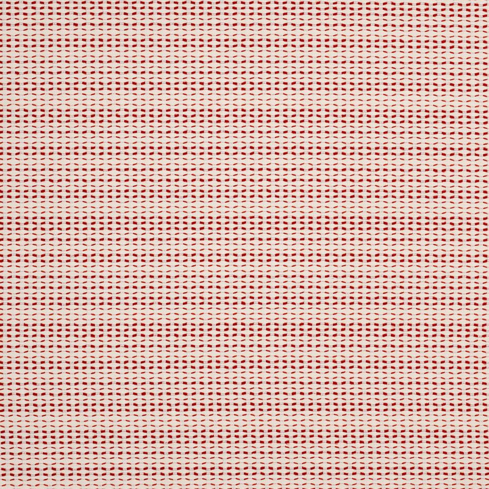 Sabal Poppy