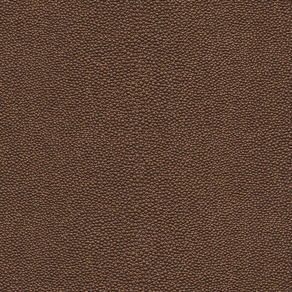 Shagreen Ridge