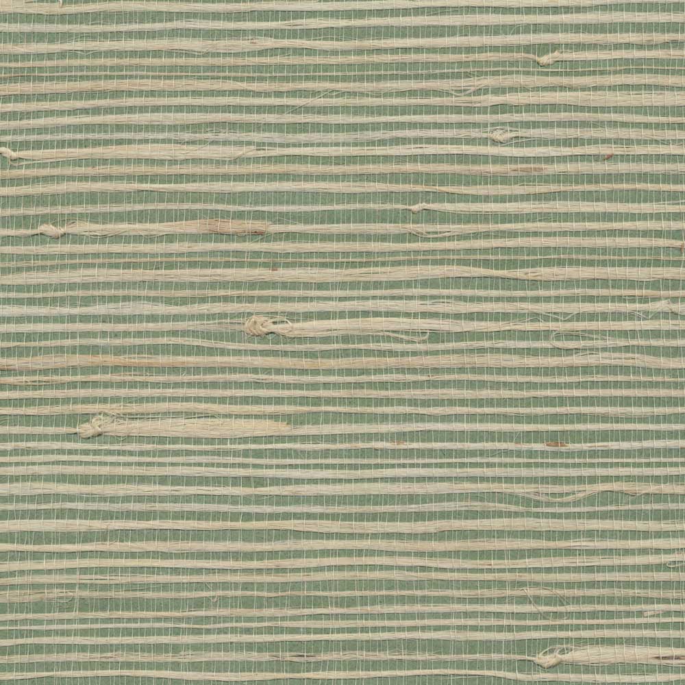 Textured Grasscloth Field