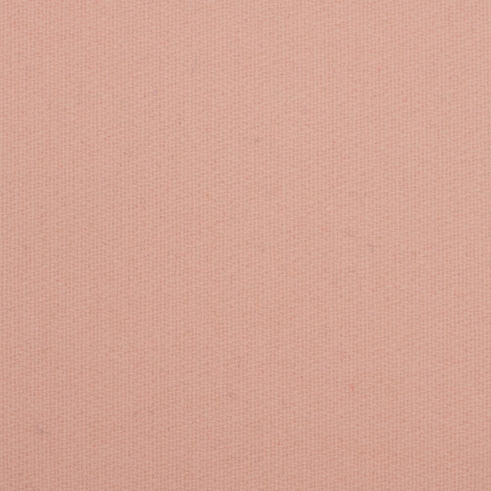 Wilde Petal