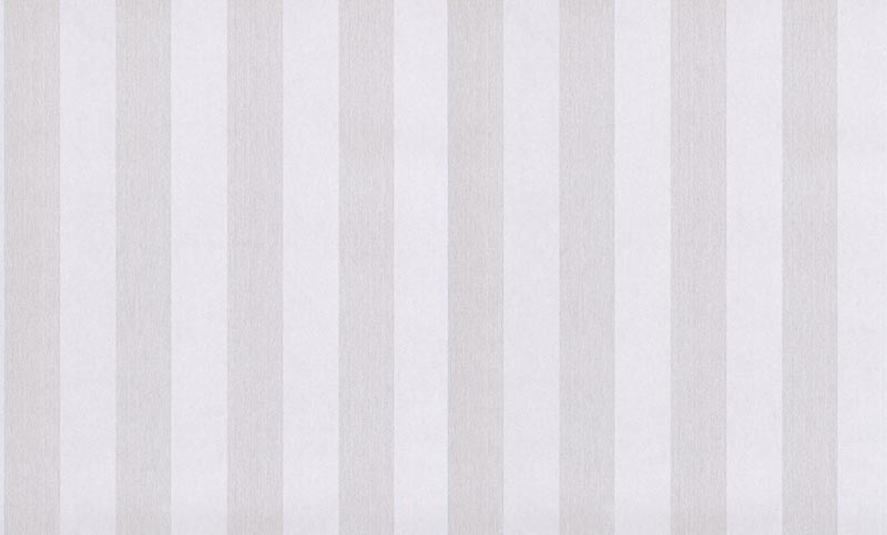 Altro ALT704 Silver