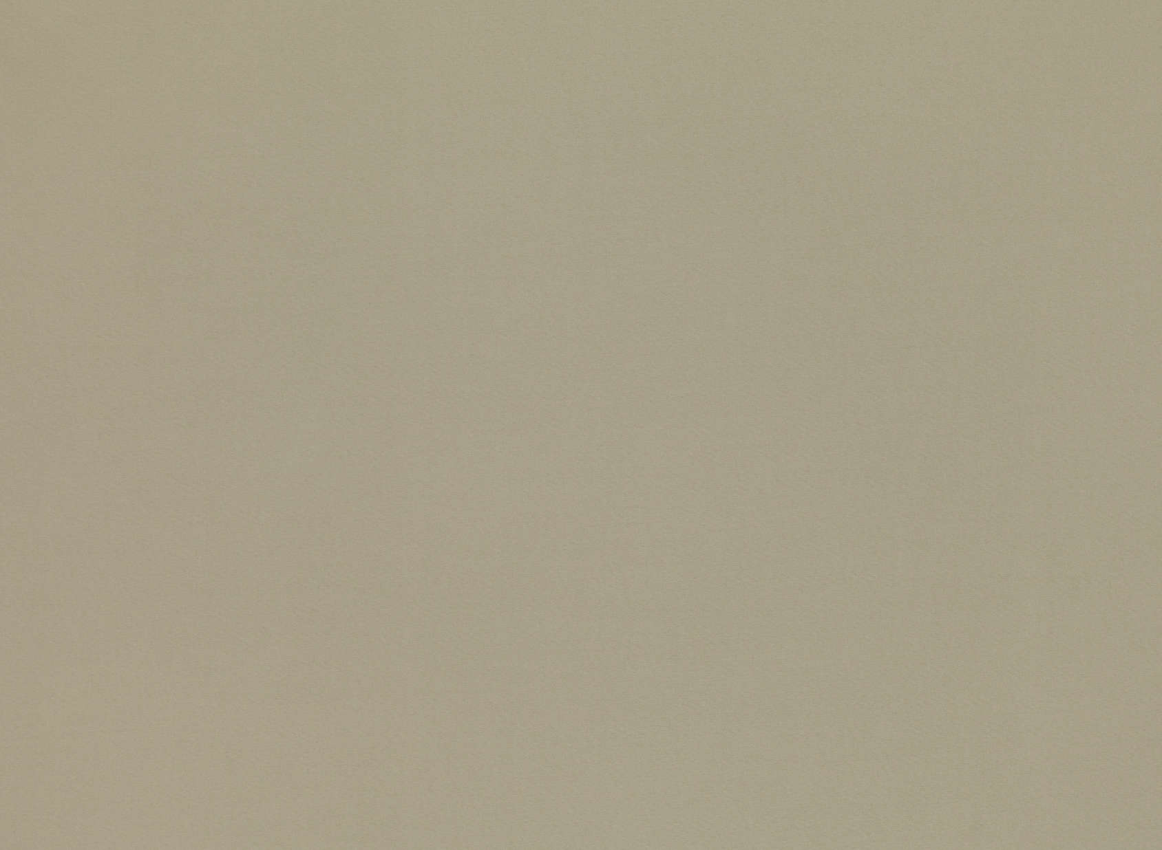 Alya Birch V3397-02