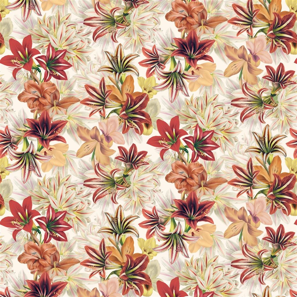 Amaryllis Carmine FJD6002-01