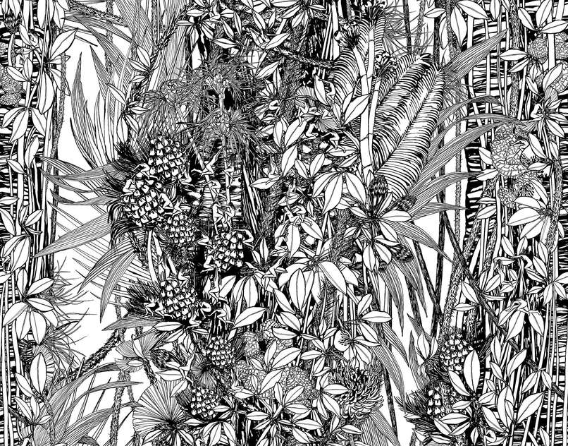 Amazone FP402002