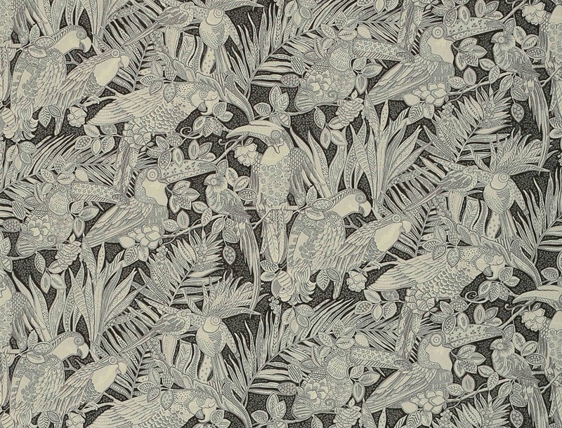 Amazonia 3672-01
