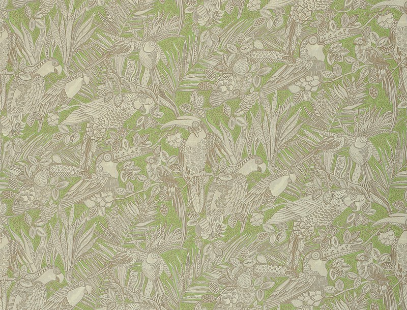 Amazonia 3672-05