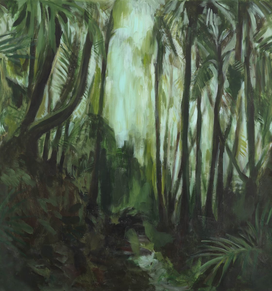 Amazonia FP595001
