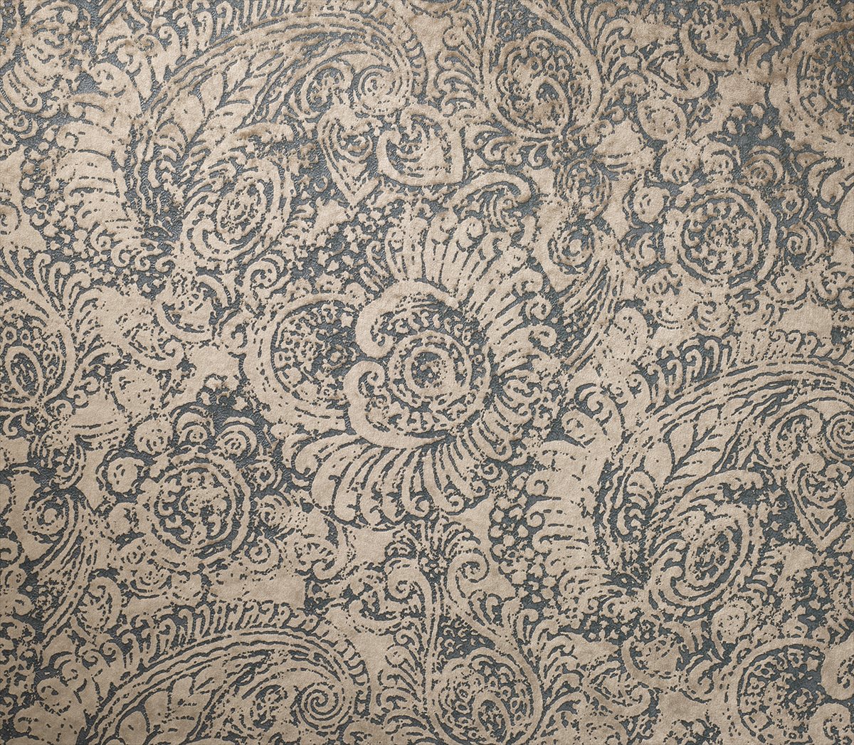 Ammonite 4561-1