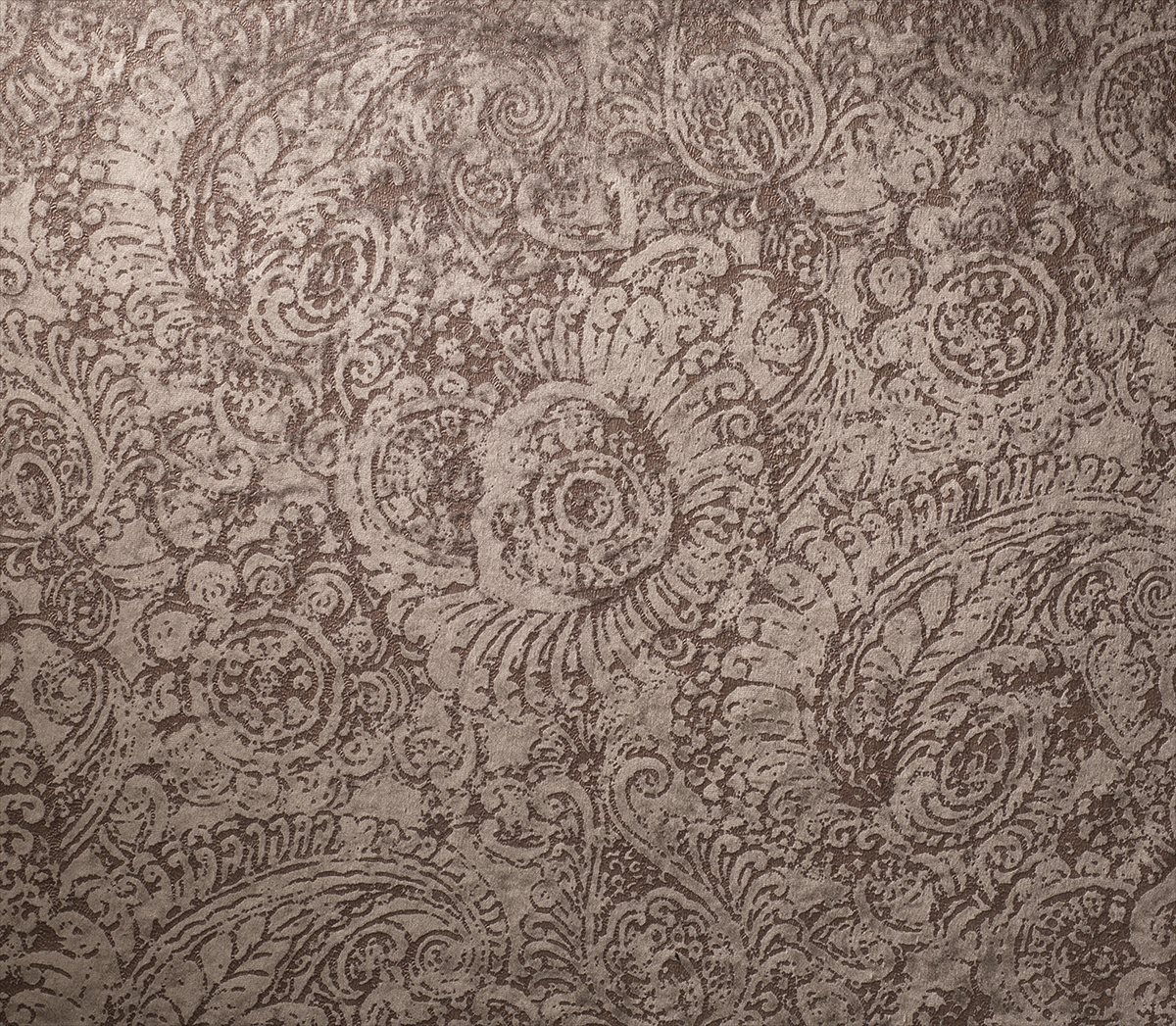 Ammonite 4561-2