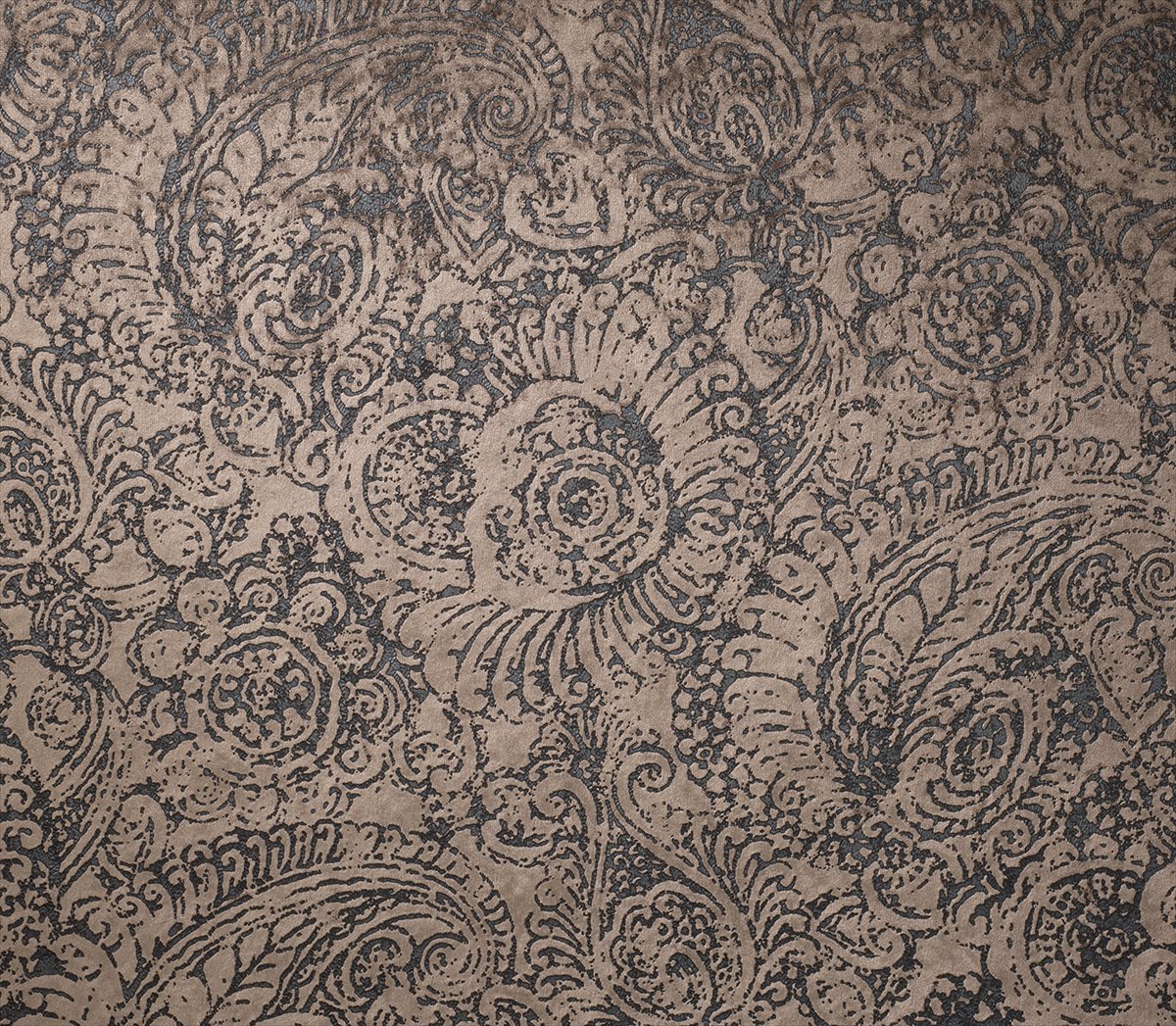 Ammonite 4561-3