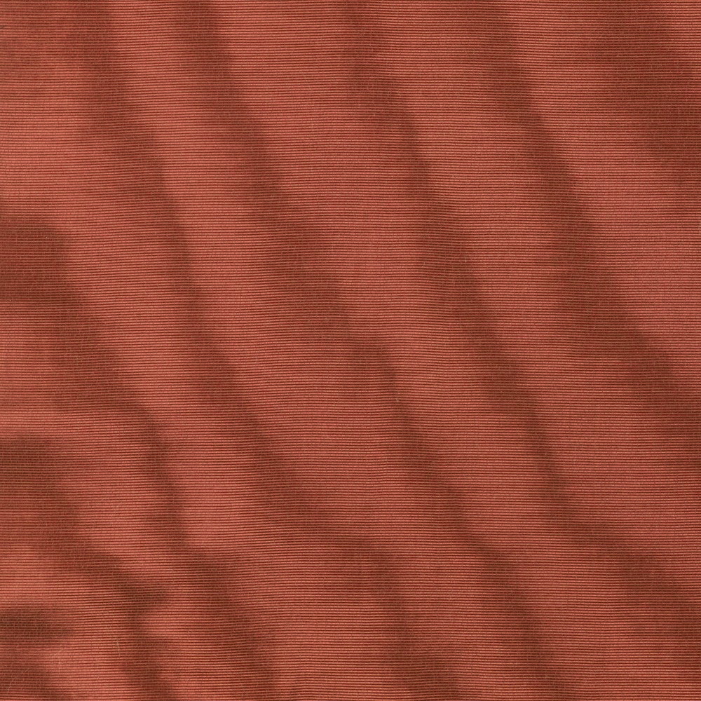 Amoir Libre Arancione 006